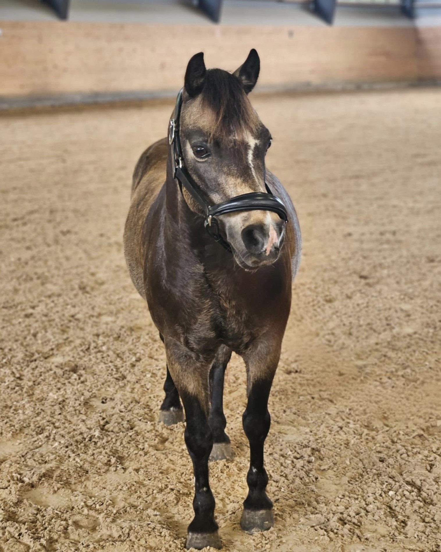 Sebastian