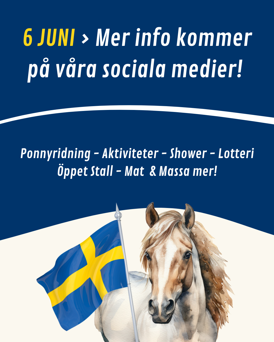 Kopia av 6e Juni prk FInal (Instagram-inlägg (45))(1)